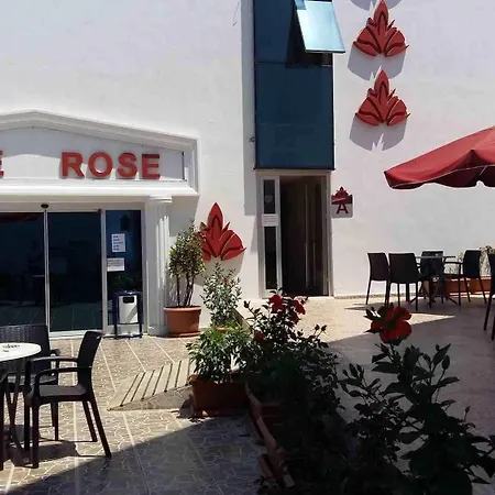 Rose